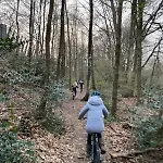 De Eekhoorn Vakantiehuis *