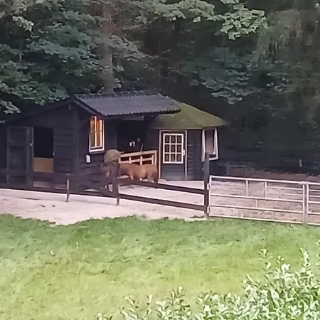 De Eekhoorn