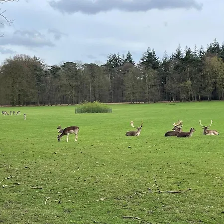 Holiday home De Eekhoorn *