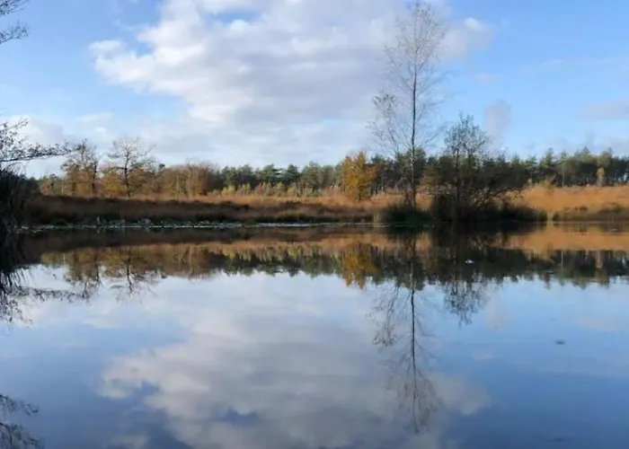 De Eekhoorn Tatil Evi