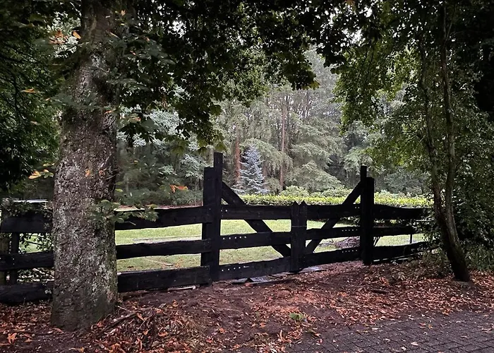 Tatil Evi De Eekhoorn *