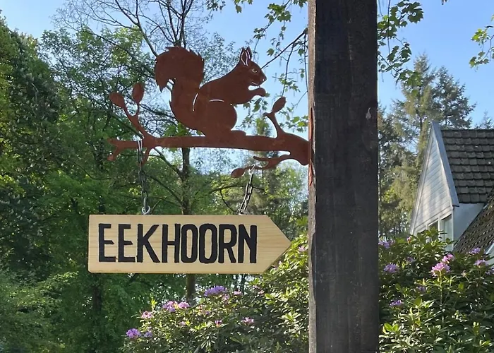 Tatil Evi De Eekhoorn