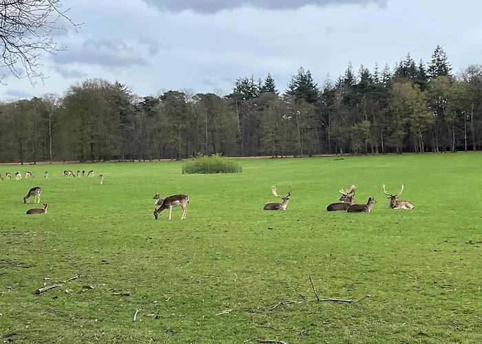 בית נופש De Eekhoorn *
