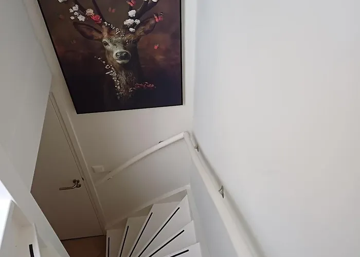 De Eekhoorn Ugchelen