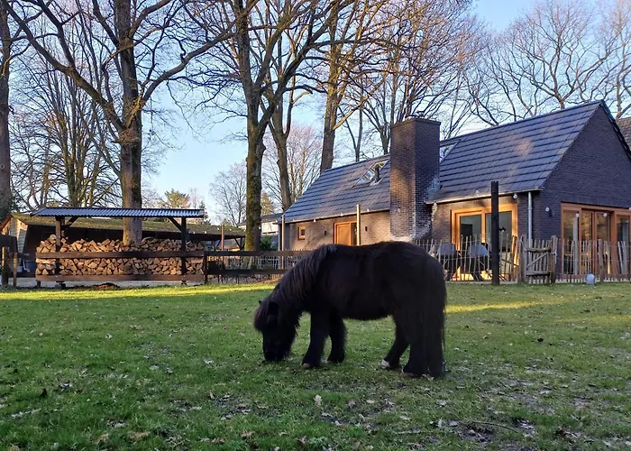 De Eekhoorn Ugchelen