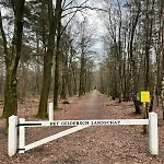De Eekhoorn