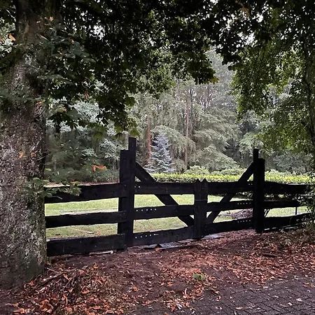 Casa vacanze De Eekhoorn *